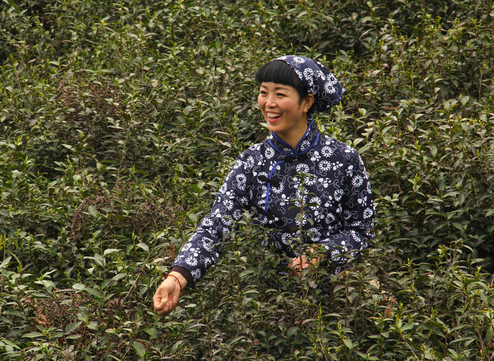 推荐5